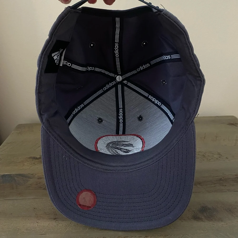 Adidas Raptors Dark Gray Cap - Picture 3 of 3